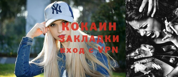 ПСИЛОЦИБИНОВЫЕ ГРИБЫ Богданович
