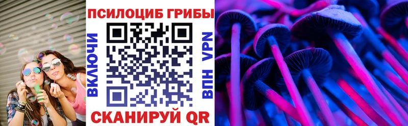 Псилоцибиновые грибы Psilocybe  Весьегонск 